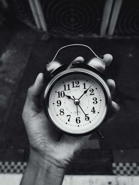 pexels-photo-20526033