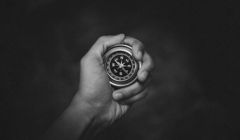 pexels-photo-3385615