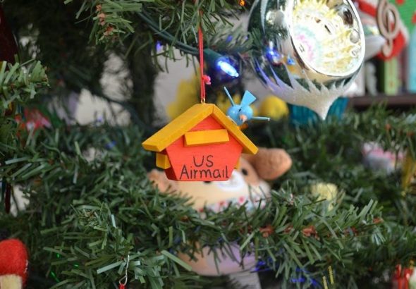 pexels-photo-35372830