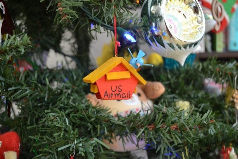 pexels-photo-35372830