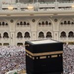 pexels-photo-35315912