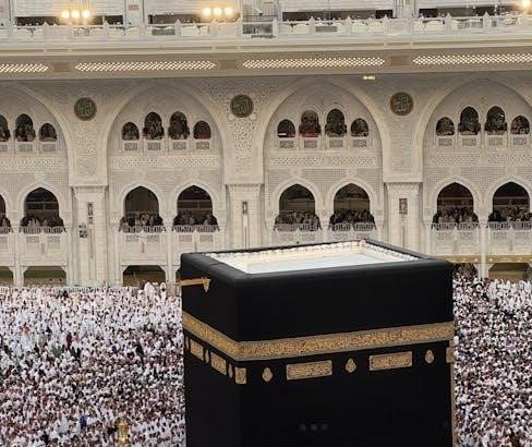 pexels-photo-35315912