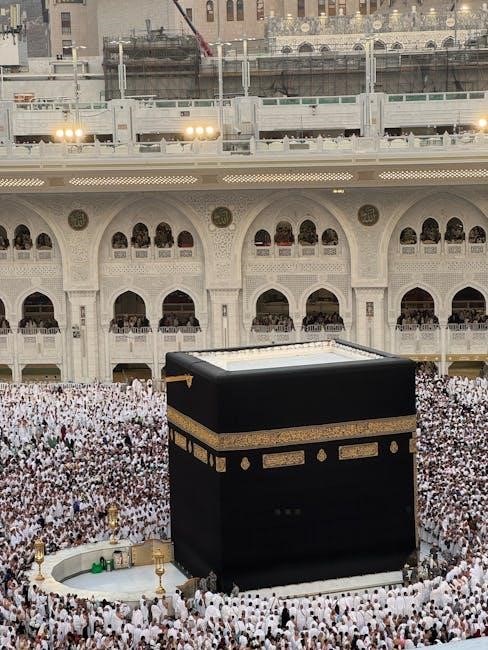 pexels-photo-35315912