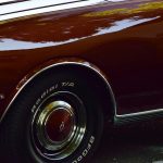 pexels-photo-16703287