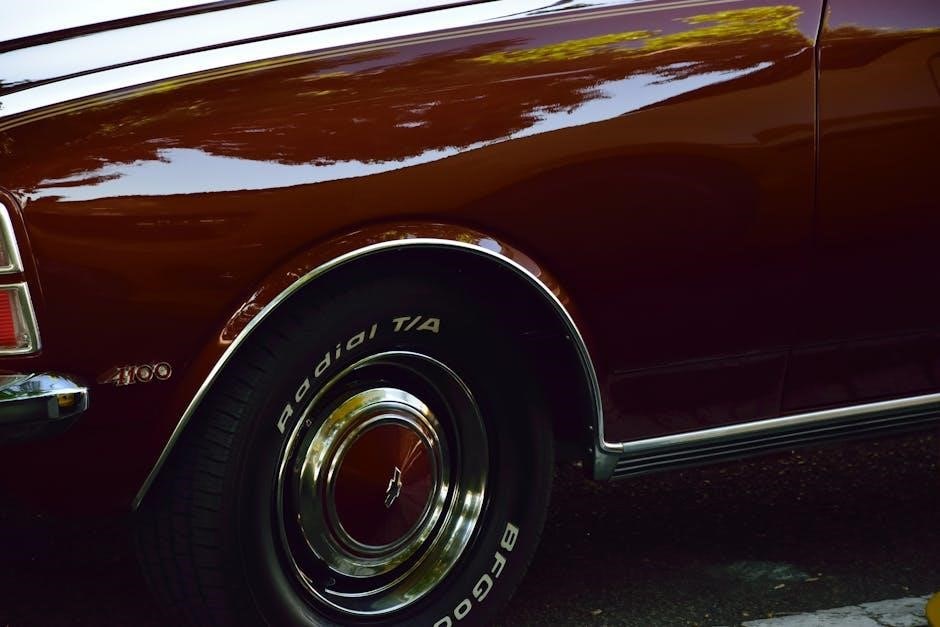 pexels-photo-16703287