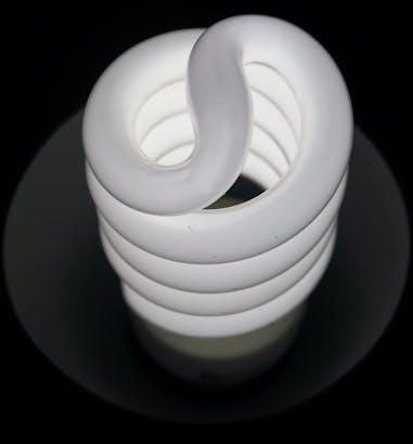 pexels-photo-30978396