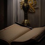 pexels-photo-35983264